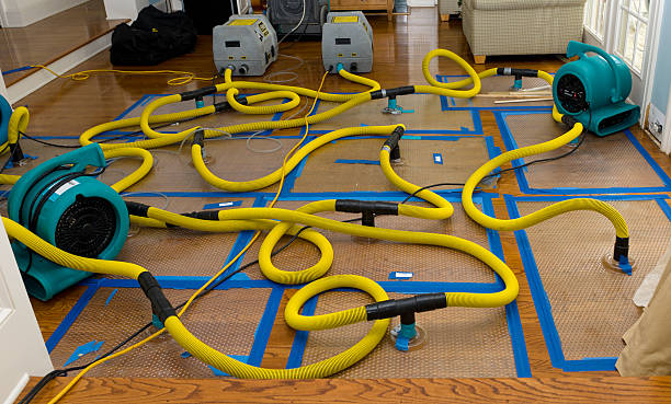 Professional Crawl Space Water Removal technician working in Port Jefferson, NY